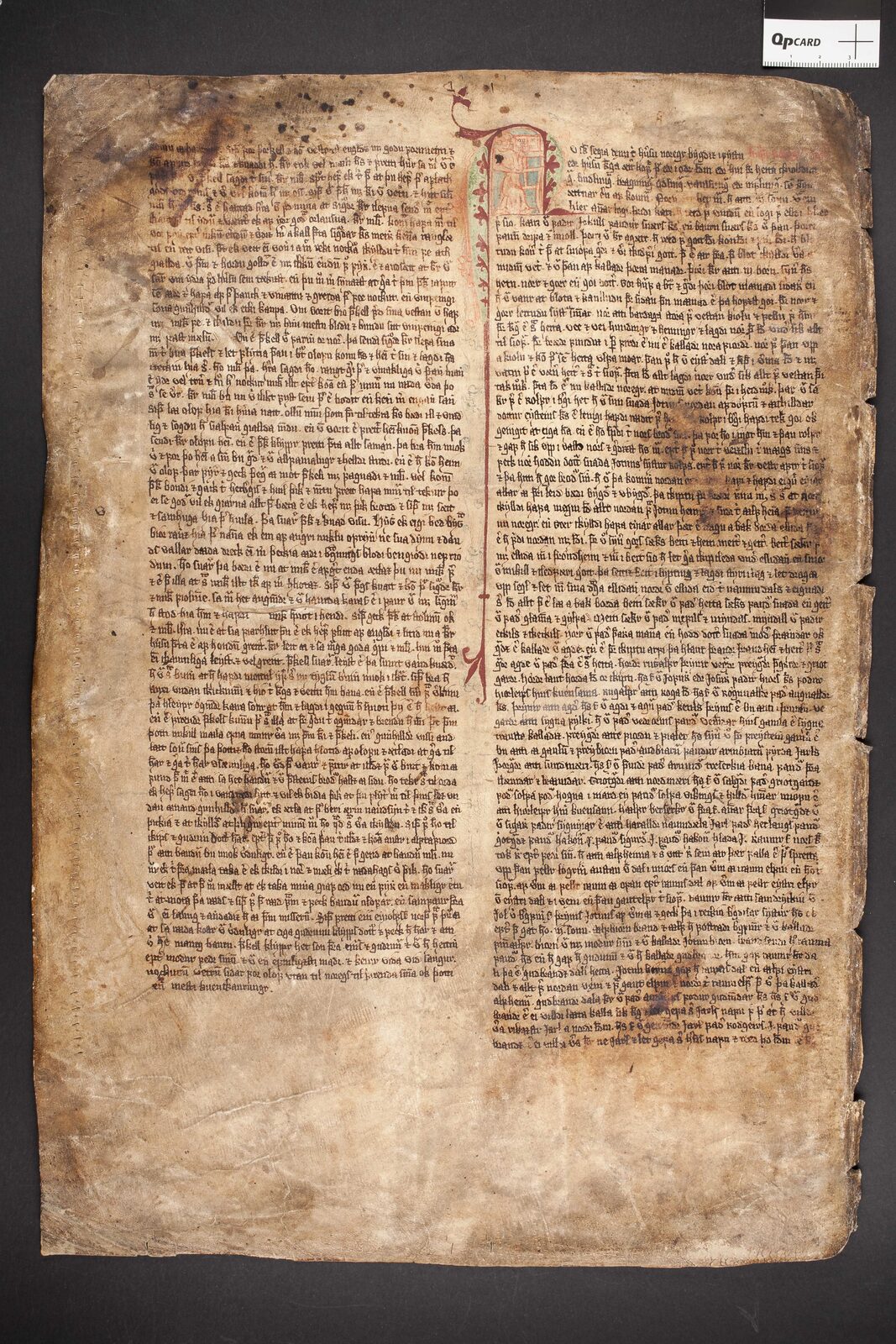 GKS 1005 fol.