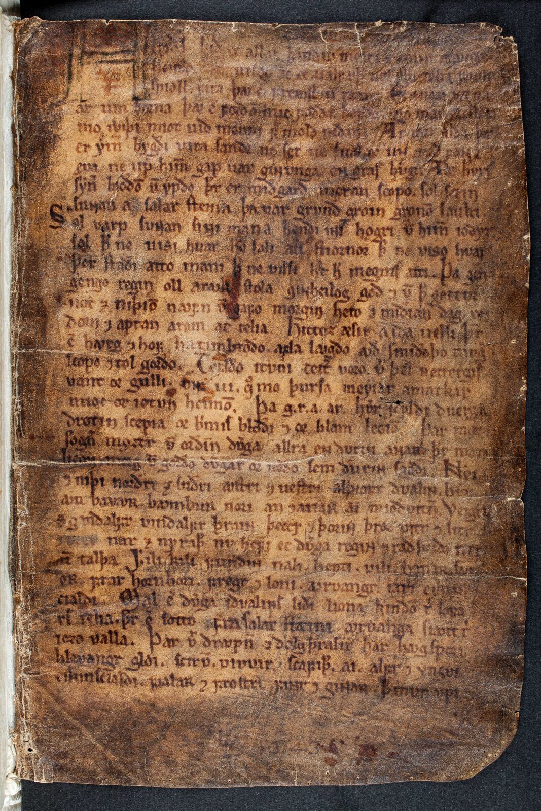 Codex Regius — GKS 2365 4to